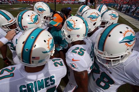 Pin by Dale McHenry on Miami Dolphins NFL | Miami dolphins, Dolphins, Miami dolphins cheerleaders