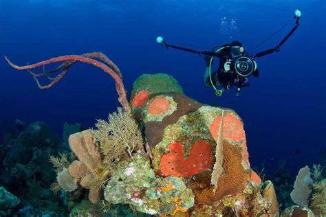 Dive Charters Gibraltar Gibspain