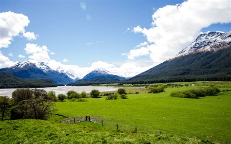 New Zealand Landscapes Pasture With Green Grass Thick Green Forests