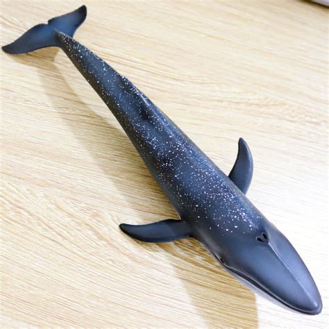 The Blue Whale Model Simulation Of Marine Biological Animal Model Toys