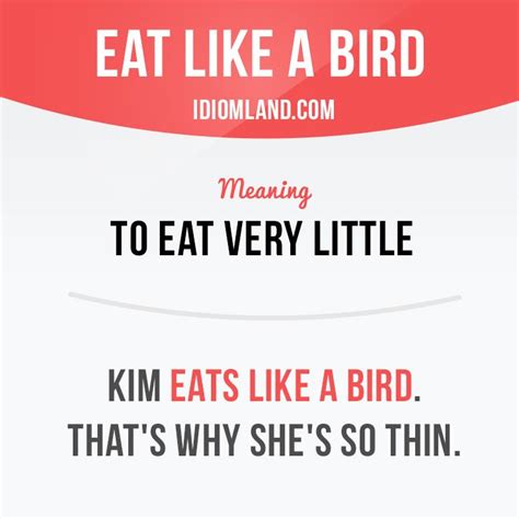 Eat Like A Bird Slang English English Idioms English Phrases Learn
