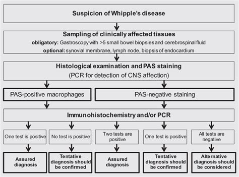 Diagnostic Algorithm For The Detection Of Whipples Disease Modified
