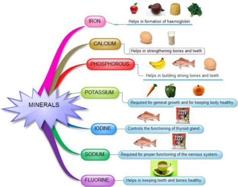 Components Of Food Minerals Mind Map