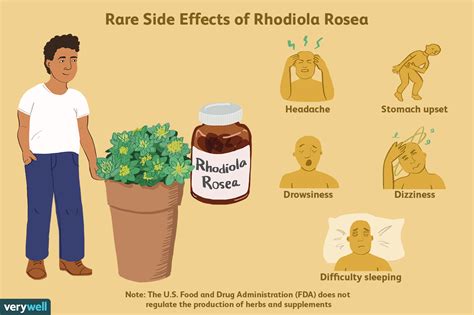 Rhodiola Benefits Side Effects Dosage And Interactions