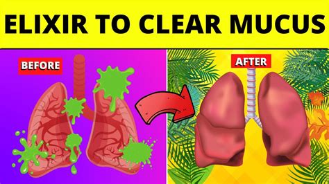 Drink This Powerful Elixir To Clear Mucus In Lungs Chest And Sinus