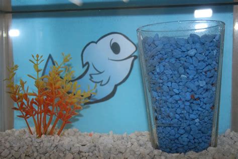 Backgrounds could make for unique aquarium decorations. Fish Aquarium Decorations - a Stylish Way to Showcase Your Favorite Fish | Aquarium Design Ideas