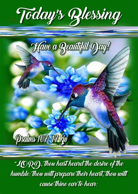 Hummingbird Today S Blessing Have A Beautiful Day Pictures Photos And Images For Facebook