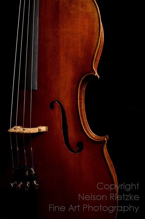 8 X 12 Color Fine Art Photography Print Cello To The Depths Of Your