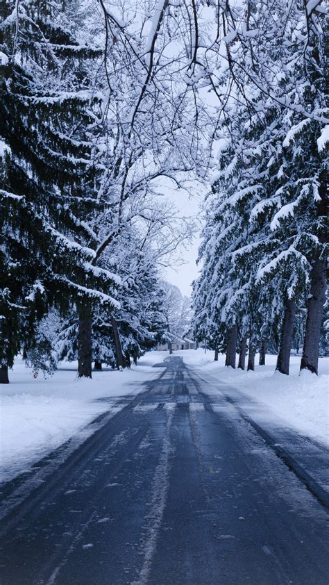 Road Between Snow Covered Green Trees 4k Hd Nature Wallpapers Hd