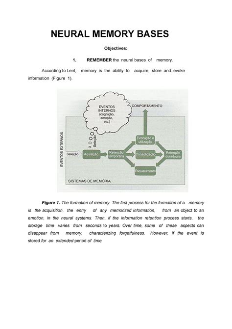 Neural Memory Bases Neural Memory Bases Objectives 1 Remember The