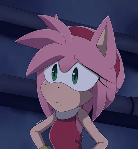 Amy Rose Sonic X Redraw Sonic The Hedgehog Amino