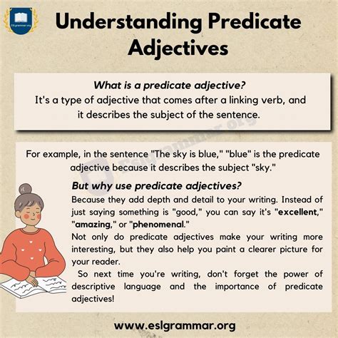 Predicate Adjective Definition Functions And Useful Examples ESL
