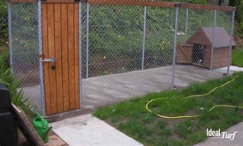 Dog Run Ideas Definitive Guide To Backyard Dog Potty Areas