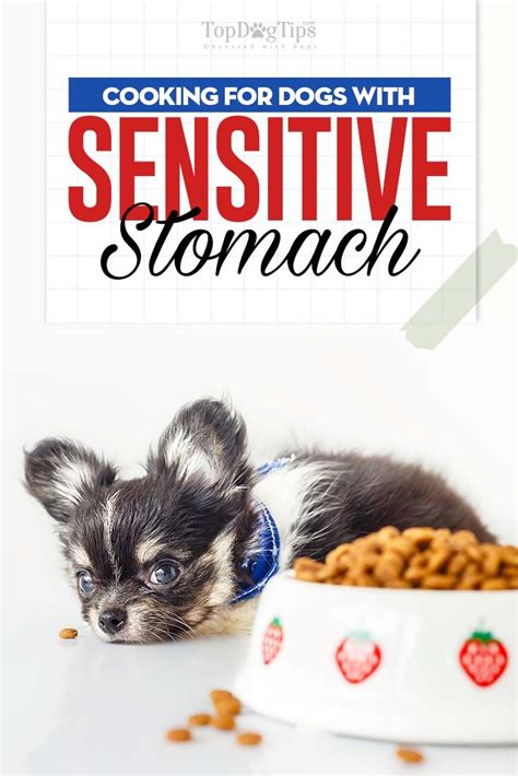 If not, then stay with us and we'll discuss some of the common causes. Dietary Guidelines for Dogs with Sensitive Stomachs | Dog ...