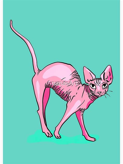 Neon Pink Elegant Hairless Sphynx Cat Nude Wrinkly Kitty Photographic Print By Ananasart