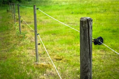 Best Electric Fence Wire