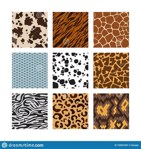 Animals Skin Pattern Zoo Seamless Backgrounds Collection Of Zebra