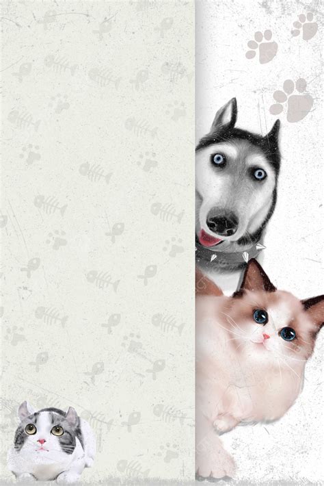 Pet Shop Creative Fresh Texture Fundo Pet Shop Criativo Fresco