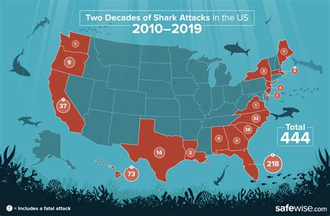 Attack on titan xr ride universal studios japan 2020 duration. South Carolina Ranks #3 in America for Shark Attacks ...