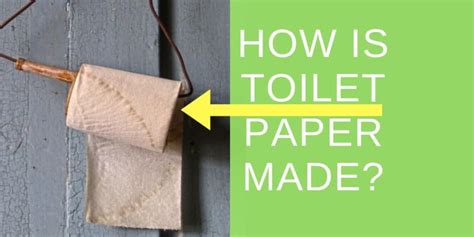 How Is Toilet Paper Made Its Not What Youd Think Toilet Travels