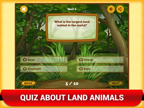 Wild Zoo Animals Quiz Fun App