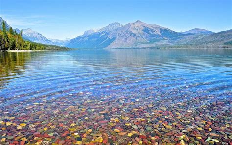 Beautiful Rainbow Pebbles Of Lake Mcdonald Usa