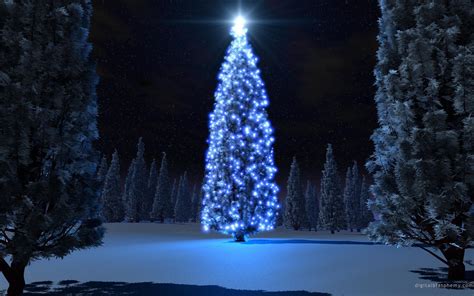 áƒ Glow Christmas Treeáƒ Hd Desktop Wallpaper Widescreen High