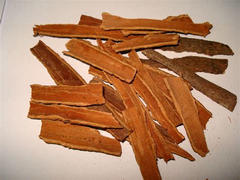 Free Photo Cinnamon Bark Aroma Flavouring Tree Free Download
