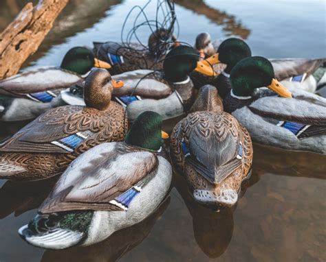 Common Decoy Spreads For Puddle Ducks And Divers