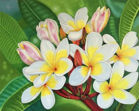 Plumeria Hawaiian Abstract Flowers Original Acrylic Painting 16 X 20