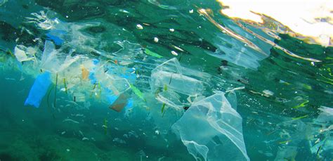 Whats Happening At The Federal Level On Plastic Pollution