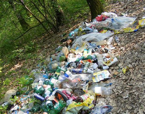 Matt Of All Trades Lousy Guy Dumps 8500 Tons Of Trash In National Forest