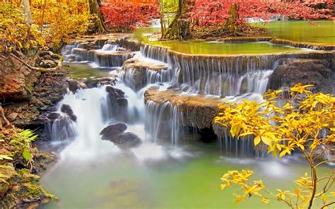 Colorful Fall Landscape Nature Roots Thailand Trees Tropical