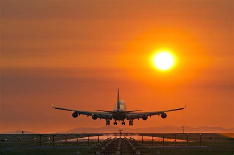 Aeroplane Landing At Sunset Photograph By David Nunuk