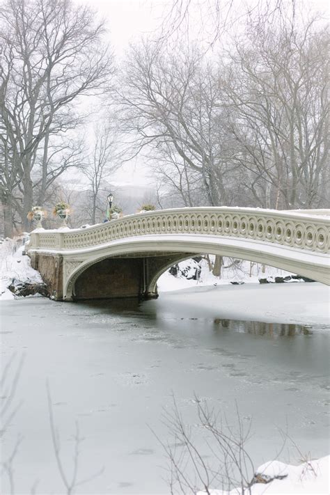 Photo Essays Snowfall In Central Park York Avenue Photo Essay
