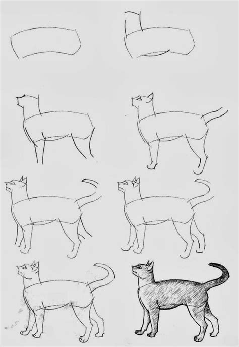 It really helps me to understand how to draw a cat oo have to try it in the next days. how to draw a cat | Dibujos de gatos, Como dibujar un gato ...
