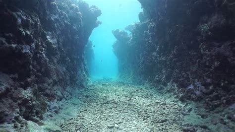 Imagini Pentru Underwater Crevace Underwater Ocean Trench Sea Floor