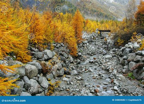 Mountain Stream And Autumn Colors Stock Photo Image Of Fall Mountain