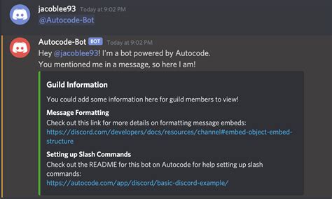 Basic Discord Bot Example Discord Autocode