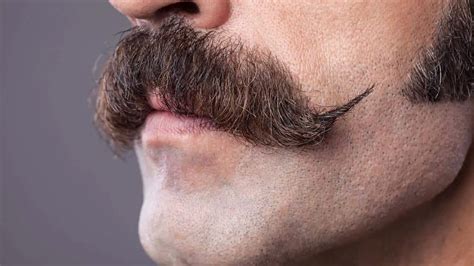 How To Grow A Mustache Thick And Fast Groenerekenkamer