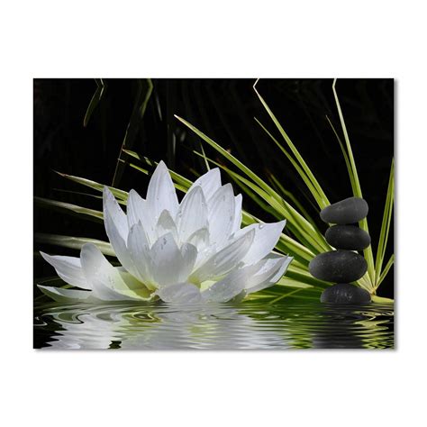 Buy Spirit Up Art Modern Giclee Prints Framed Flower Artwork White Lotus And Black Zen Stones