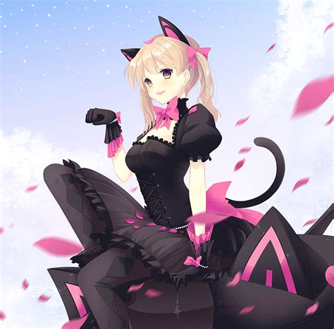 Black Cat Dva By Kanayukino On Deviantart