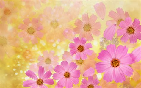 Spring Flower Wallpaper Backgrounds ·① Wallpapertag
