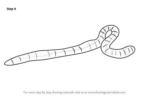Learn How To Draw An Earthworm Worms Step By Step