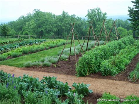 The Recreation Of The Monticello Vegetable Garden Began