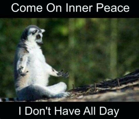 Inner Peace What Inner Peace Memes Themes And Schemes