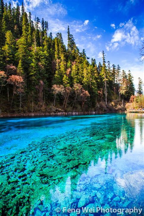 Five Color Pond Jiuzhai Valley National Park National Parks Autumn