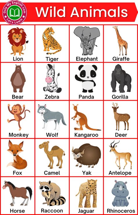 Wild Animals Name List Animals Name With Picture Animals Name In