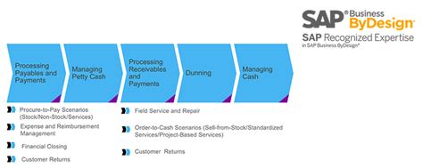 We at tokenasia, provide best liquidity management services in terms of effective cost saving. Cash and Liquidity Management within SAP Business ByDesign