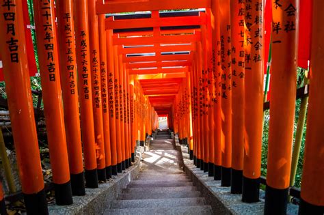 Itap Hie Shrine Torii Gates Tokyo Ritookapicture